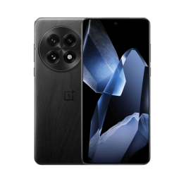 OnePlus 13